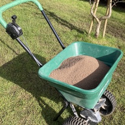 Rasendüngung -wichtige Nährelemente für eine Monokultur im Garten